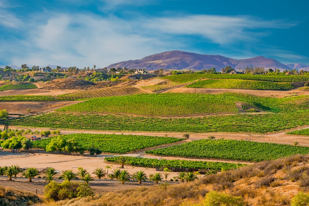Beautiful Wine country in Temecula, CA